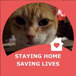 Meet your Posher, Annette